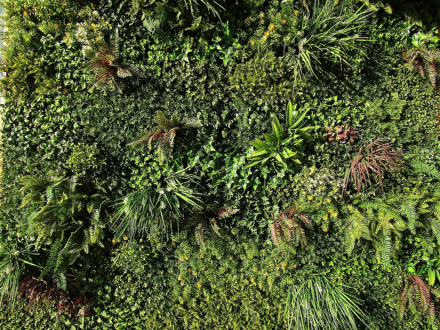 Mur végétal fait de plantes artificielles très réaliste.